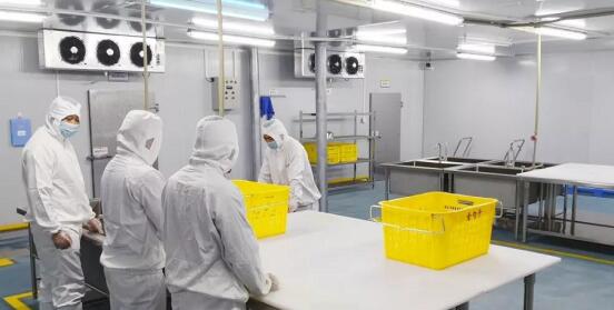 1591667614917069.jpg 净菜加工"QQ截图20200609095227.jpg"/