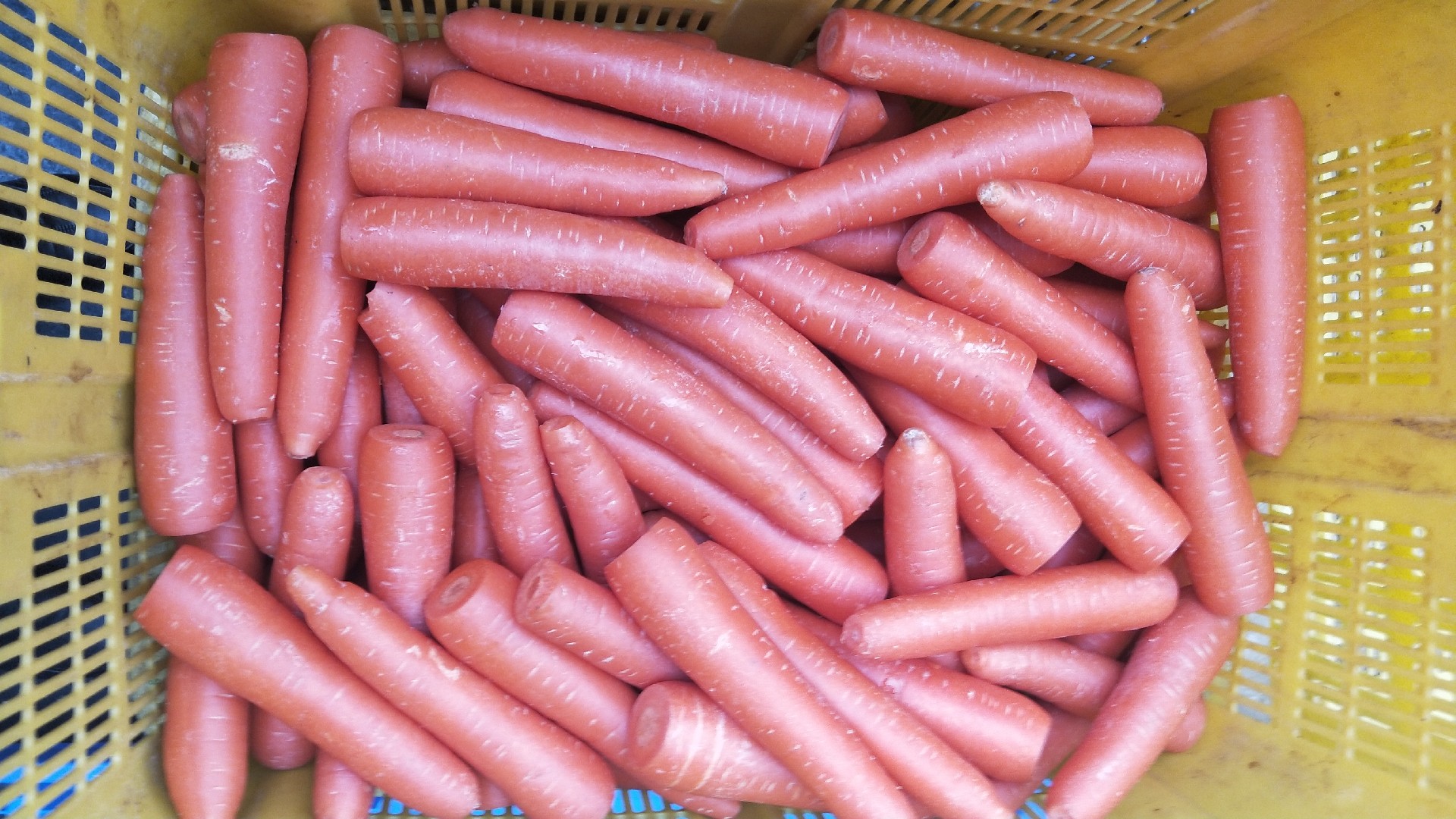 1594892948166606.jpg 微信图片_20191227110727.jpg