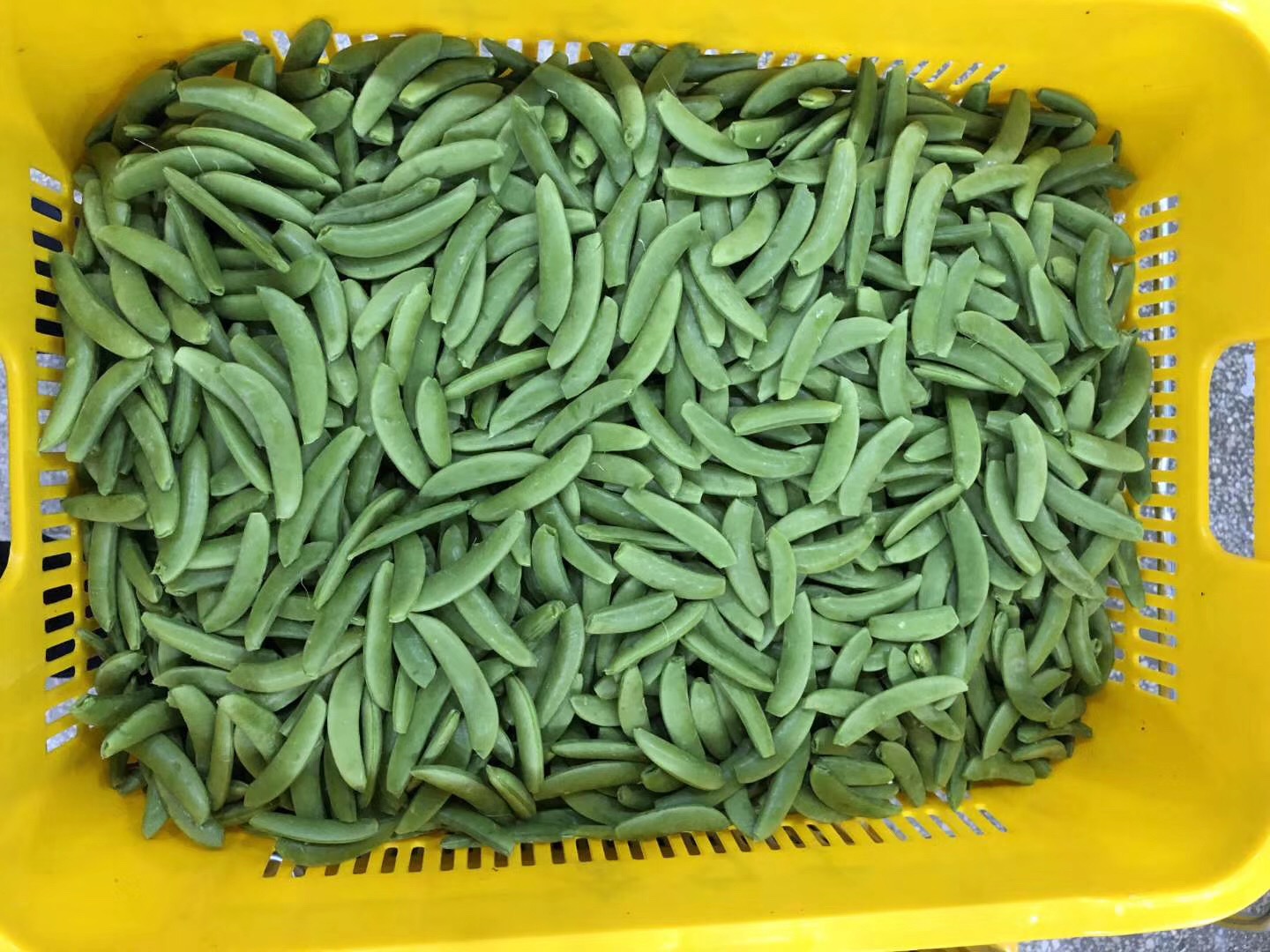 1595833520130667.jpg 微信图片_20200110103321.jpg