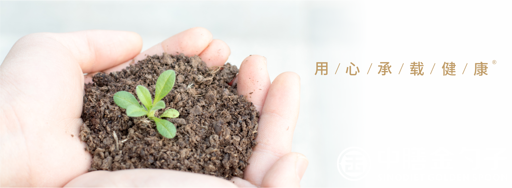 1629101202210120.png 1629101202210120.png