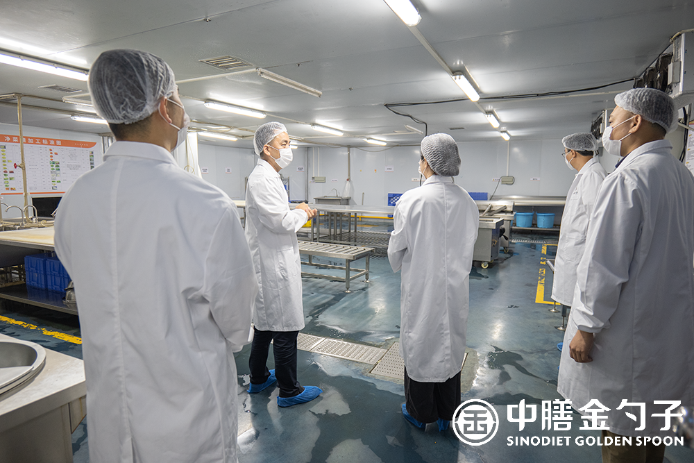 1652853528776149.png P1047558.png