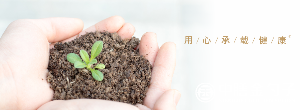 1654495447225535.png 顶关注.png